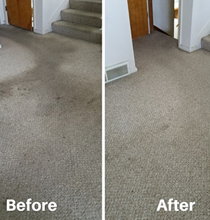 Carpet Steam Cleaning in Sydney