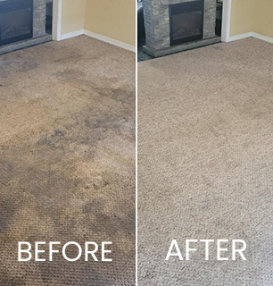 Professional Carpet Cleaning Services