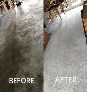 best carpet cleaners